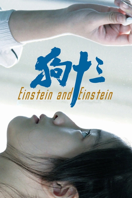 狗十三海报