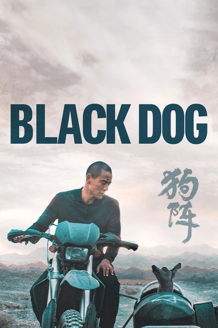 狗阵海报