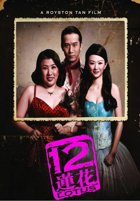 12莲花海报