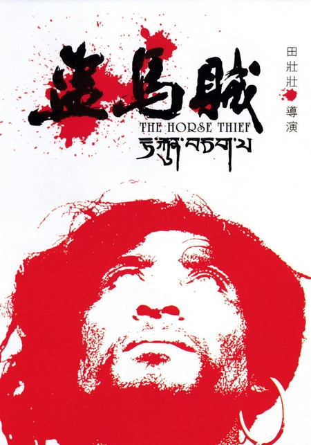 盗马贼海报
