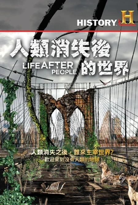 人类消失后的世界海报