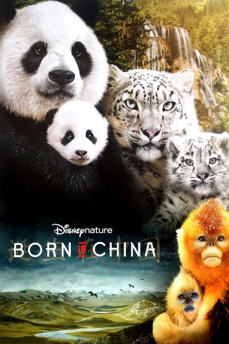 我们诞生在中国海报