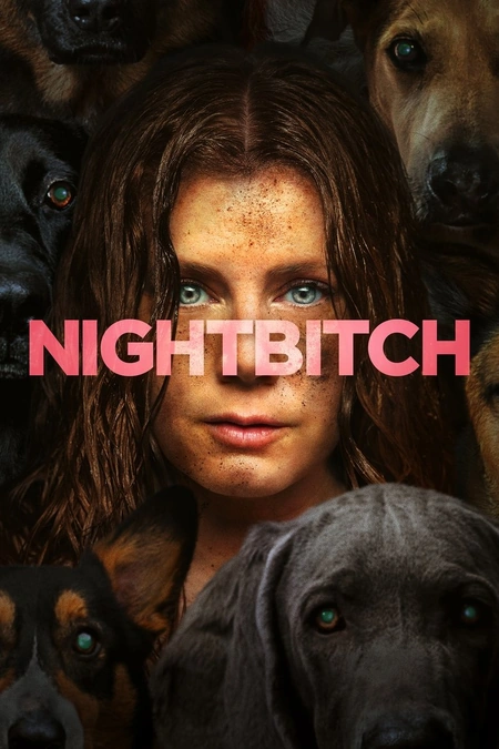 夜母海报