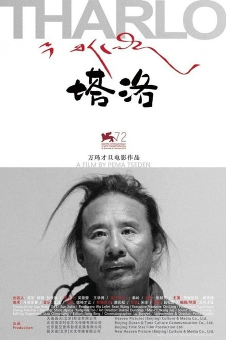 塔洛海报