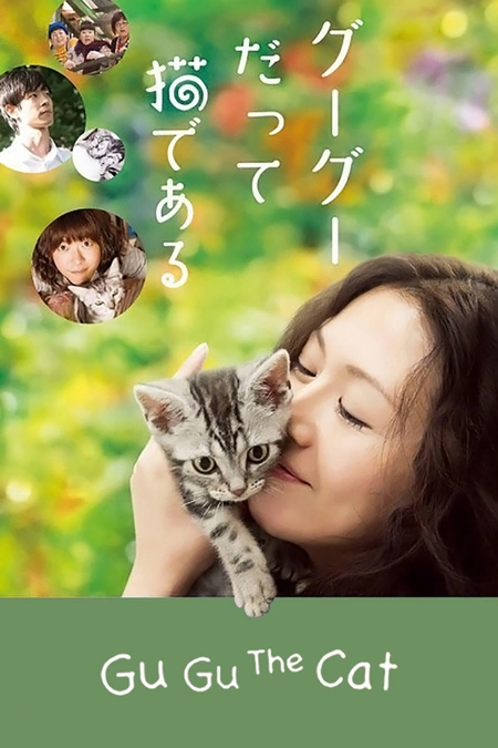 咕咕是一只猫海报