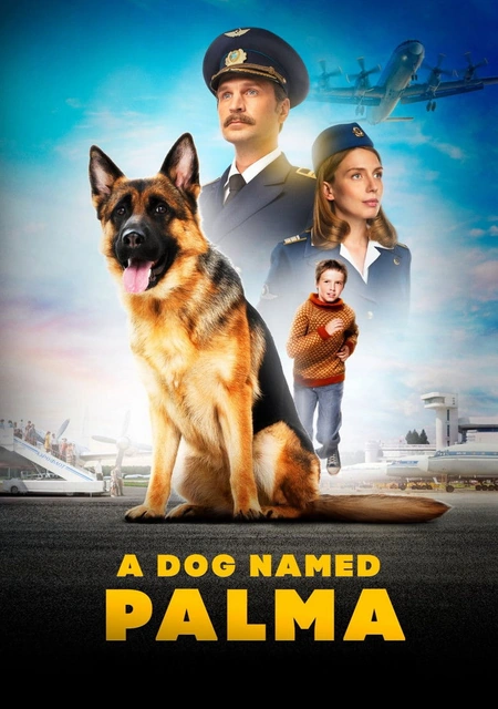 忠犬帕尔玛海报