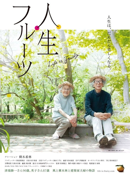 人生果实海报