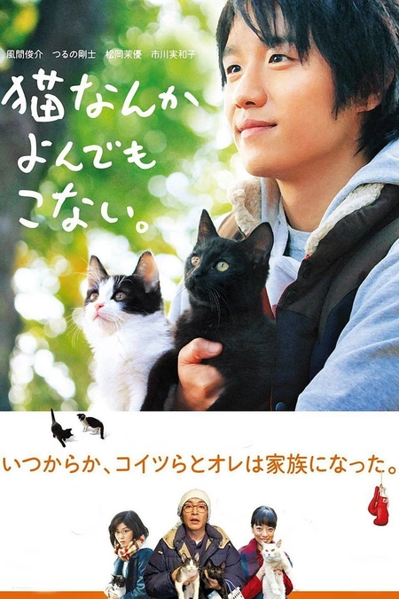 为什么猫都叫不来 猫なんかよんでもこない。海报