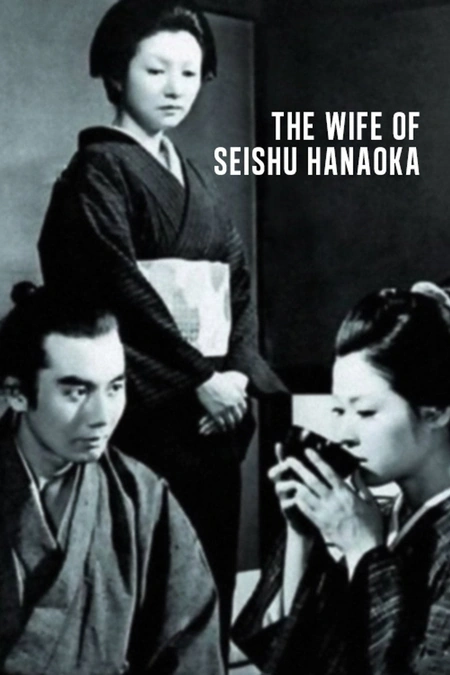 华岗青洲之妻海报