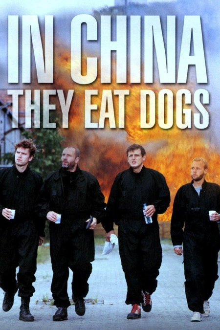 在中国他们吃狗海报