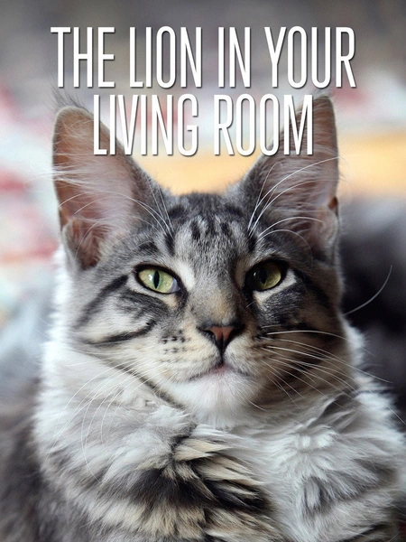 家里的狮子海报